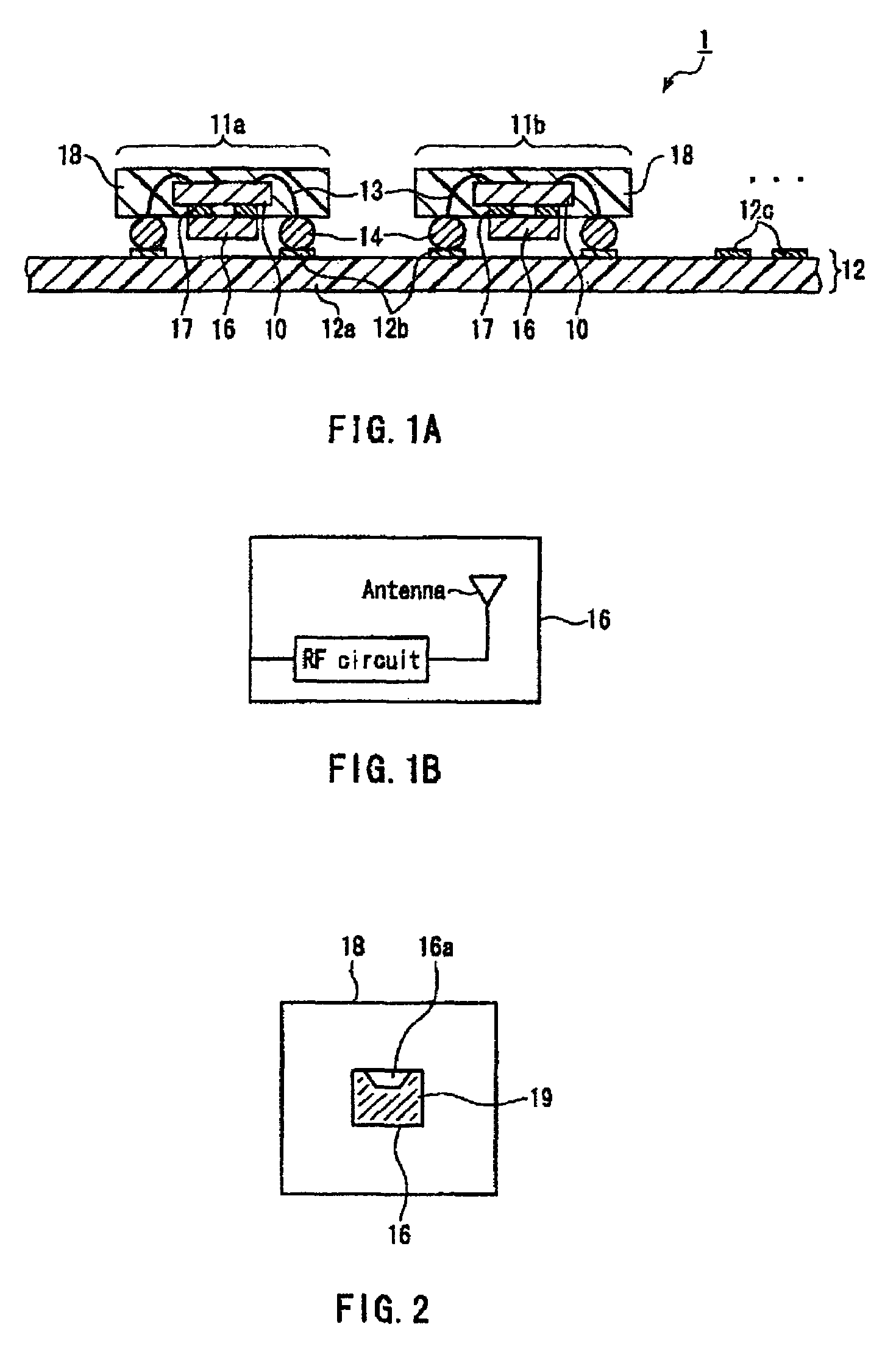 Module and mounted structure using the same