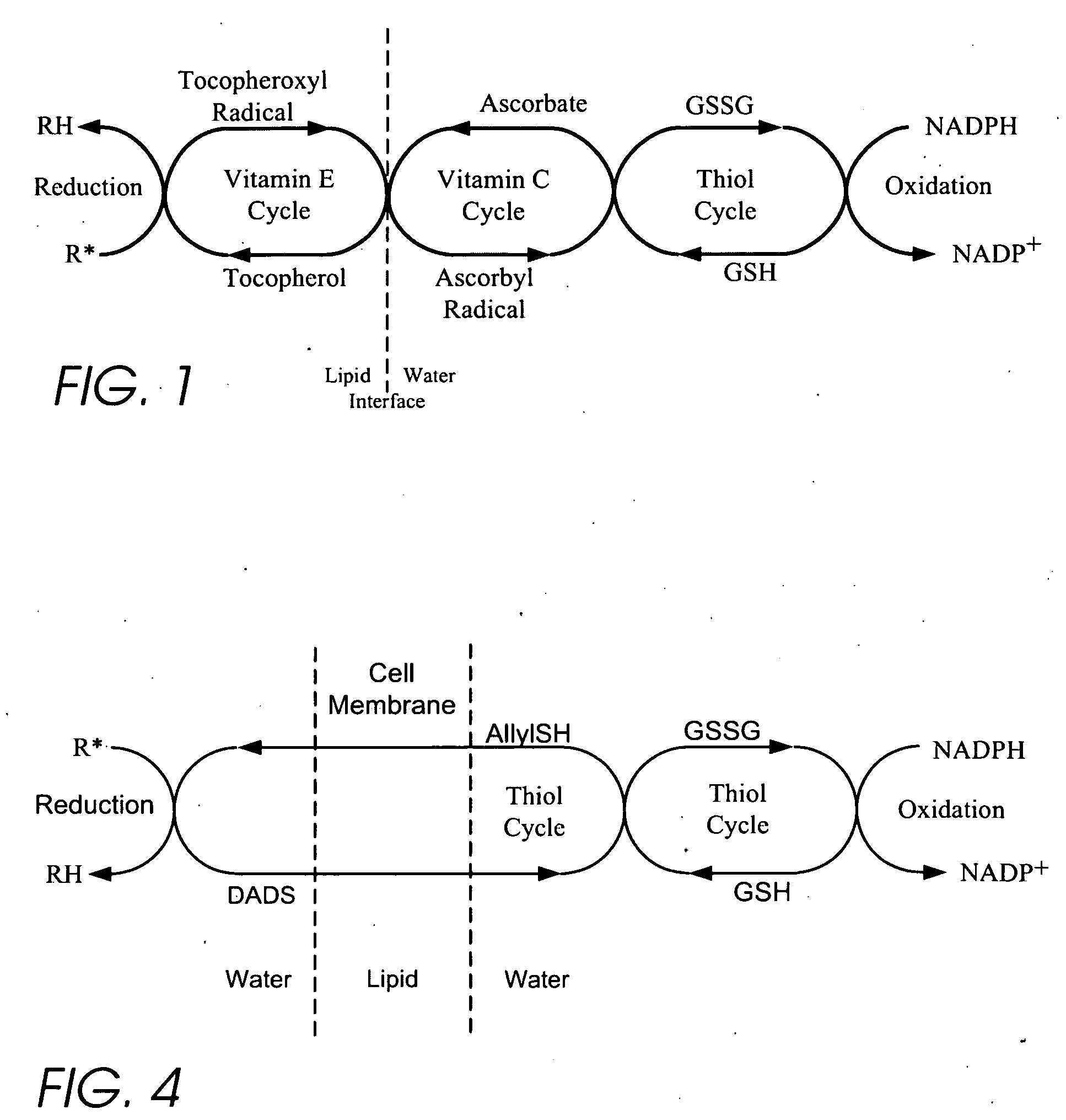 Personal care and medicinal products incorporating bound organosulfur groups