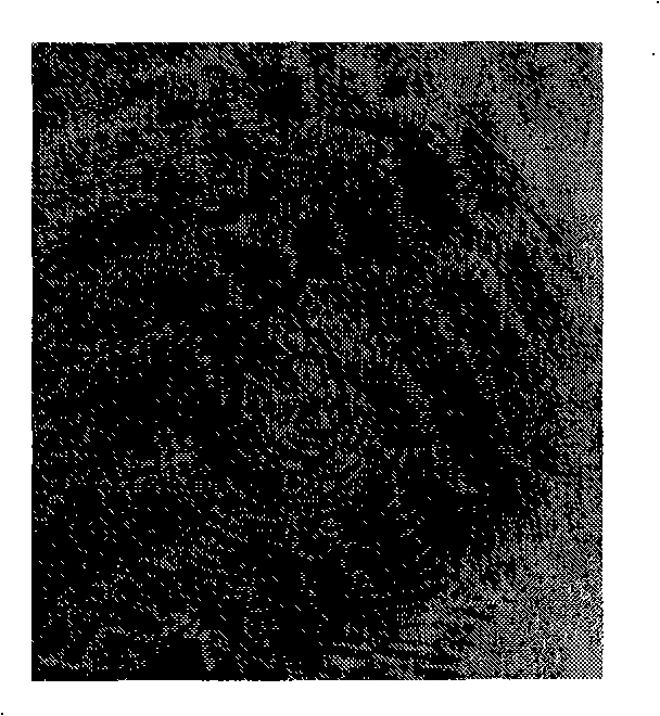 Method for latency fingerprint appearance of surface functionalization nano-gold particle