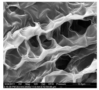 Preparation method of temperature-sensitive cellulose quaternary ammonium salt/beta-sodium glycerophosphate hydrogel