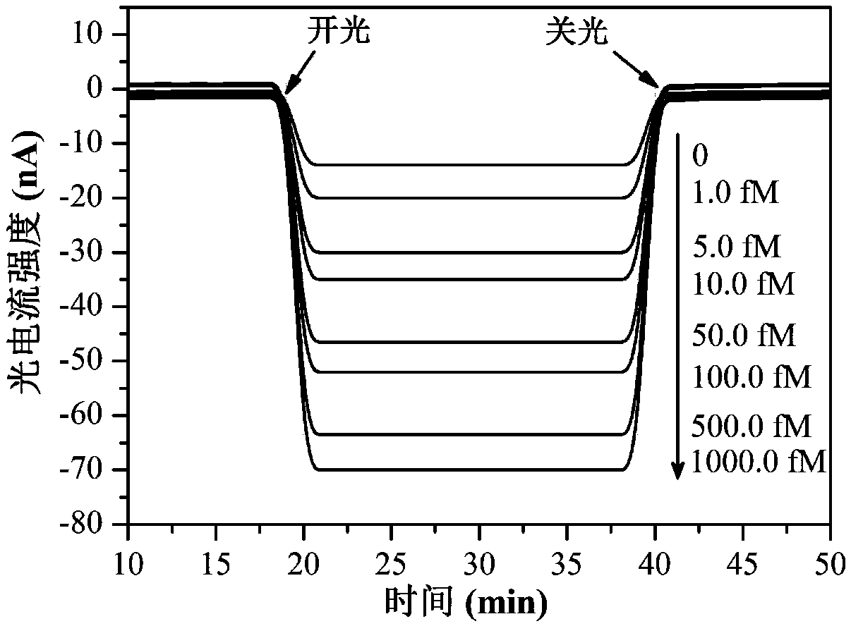 Preparation method of photoelectric chemical biosensor for microRNA detection