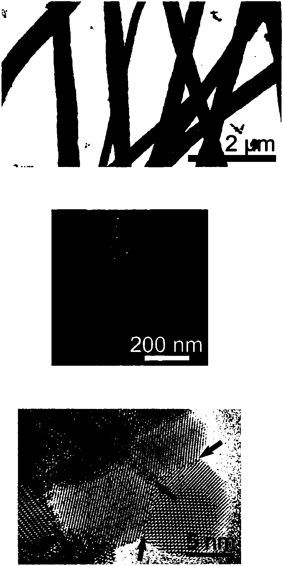 Nanometer tin based catalyst for electrochemical reduction carbon dioxide reaction and preparation method and application thereof