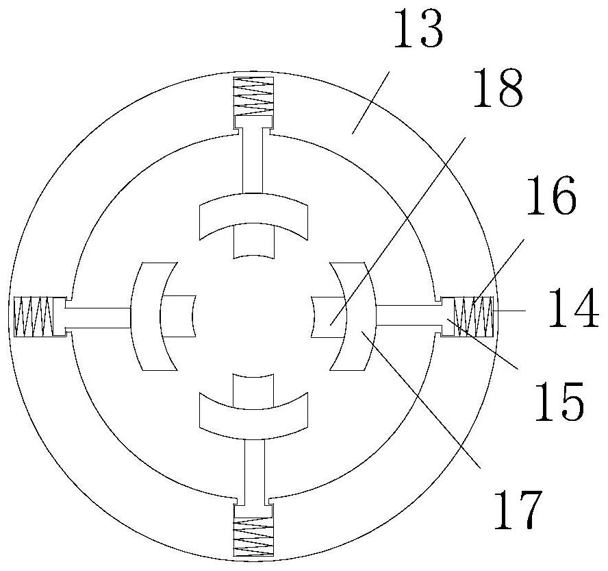 Aggregate particle size and particle shape automatic detection device and system thereof