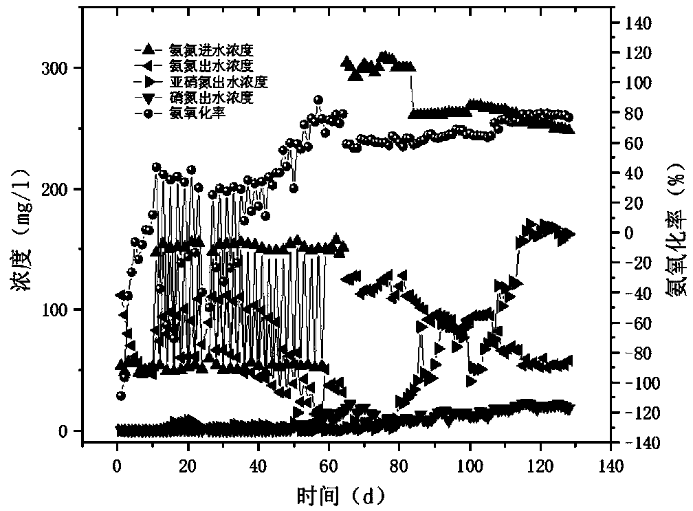 System and method for accumulating nitrite nitrogen in partial nitrification process