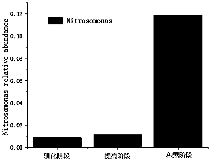 System and method for accumulating nitrite nitrogen in partial nitrification process