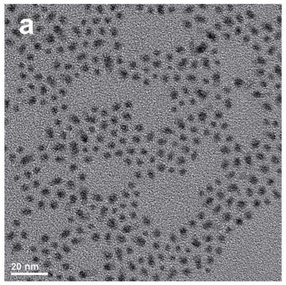 Near-infrared silver-gold-selenium fluorescent quantum dot as well as preparation method and application thereof