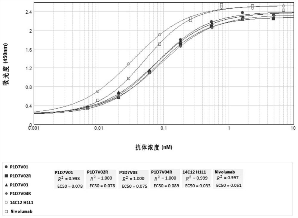 Anti-CD73-anti-PD-1 bispecific antibody and application thereof