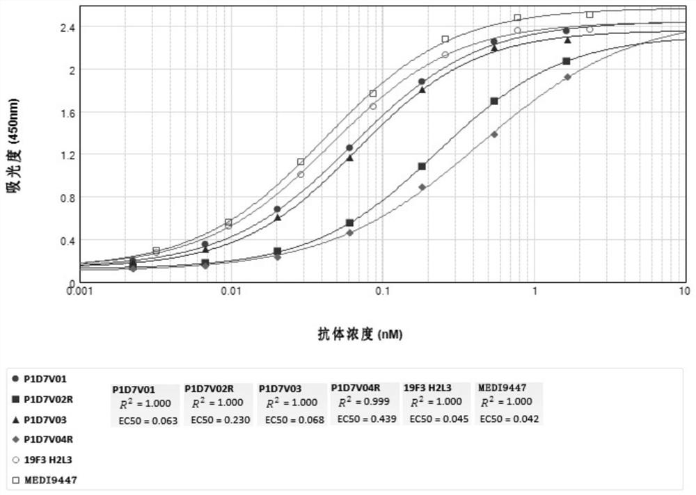 Anti-CD73-anti-PD-1 bispecific antibody and application thereof