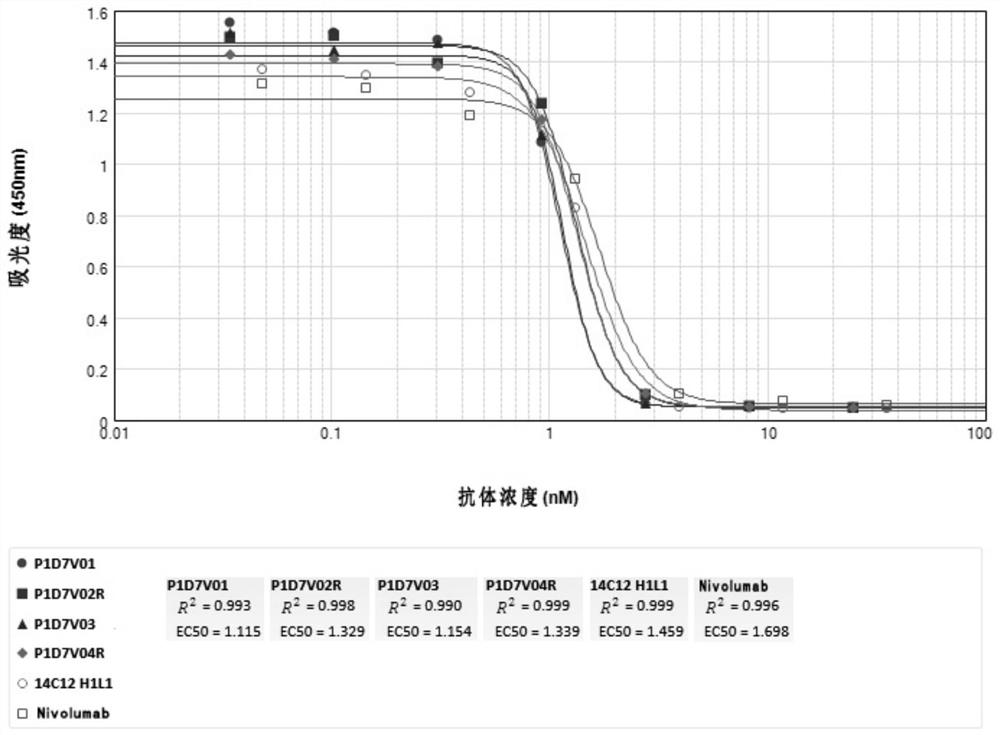 Anti-CD73-anti-PD-1 bispecific antibody and application thereof