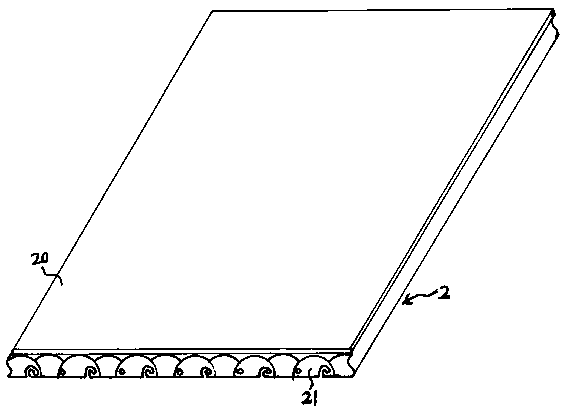 Panel protective layers and display panel device