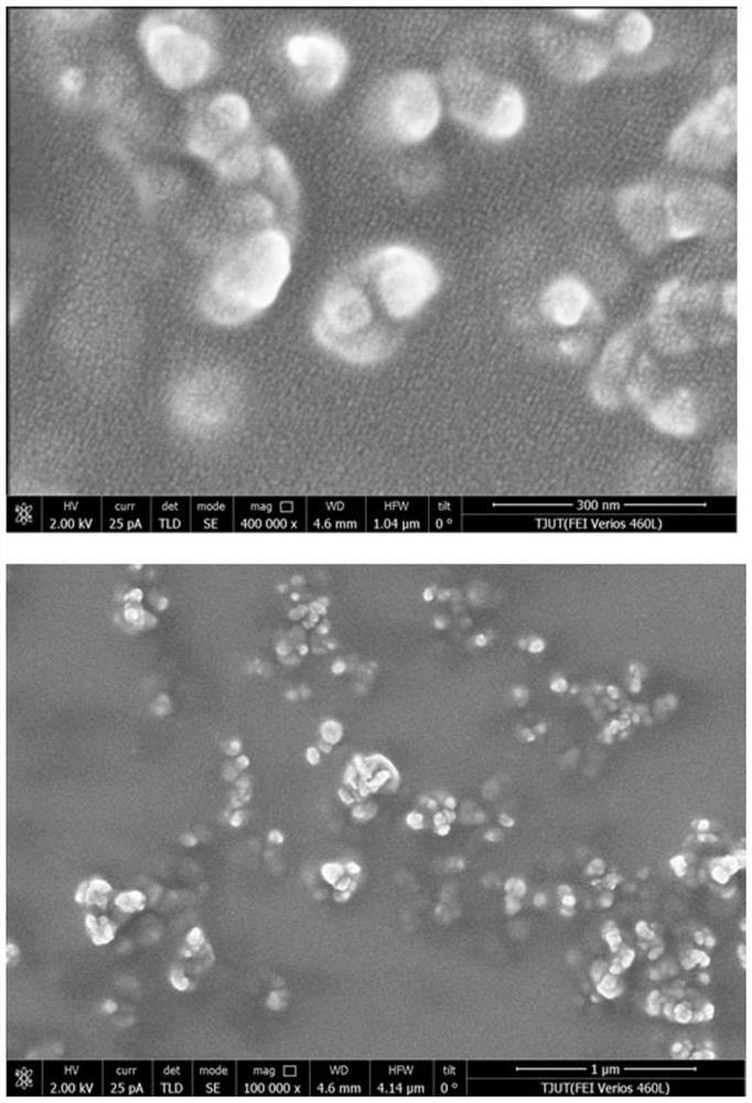 Method for electrochemically detecting hydrogen peroxide based on nano copper oxide modified printed electrode