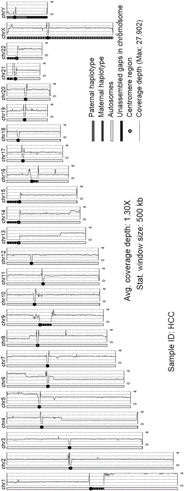 Method for gene copy number variation analysis