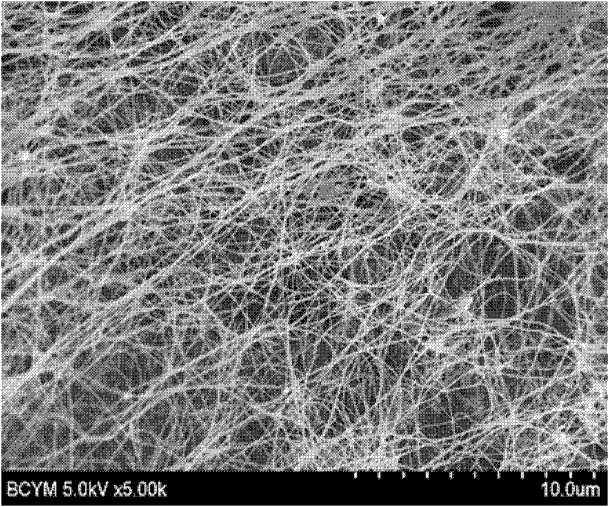 A kind of bacterial cellulose porous foam material and preparation method thereof