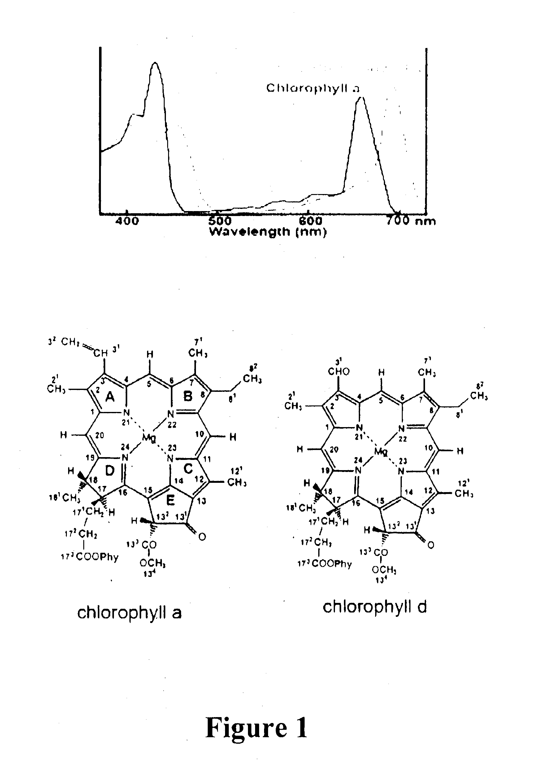 Gene Constructs Comprising Nucleic Acids That Modulate Chlorophyll Biosynthesis And Uses Thereof