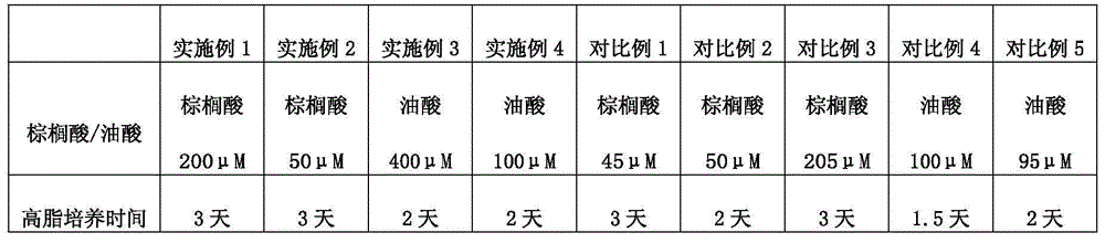 Preparation method for non-alcoholic fatty liver disease zebra fish