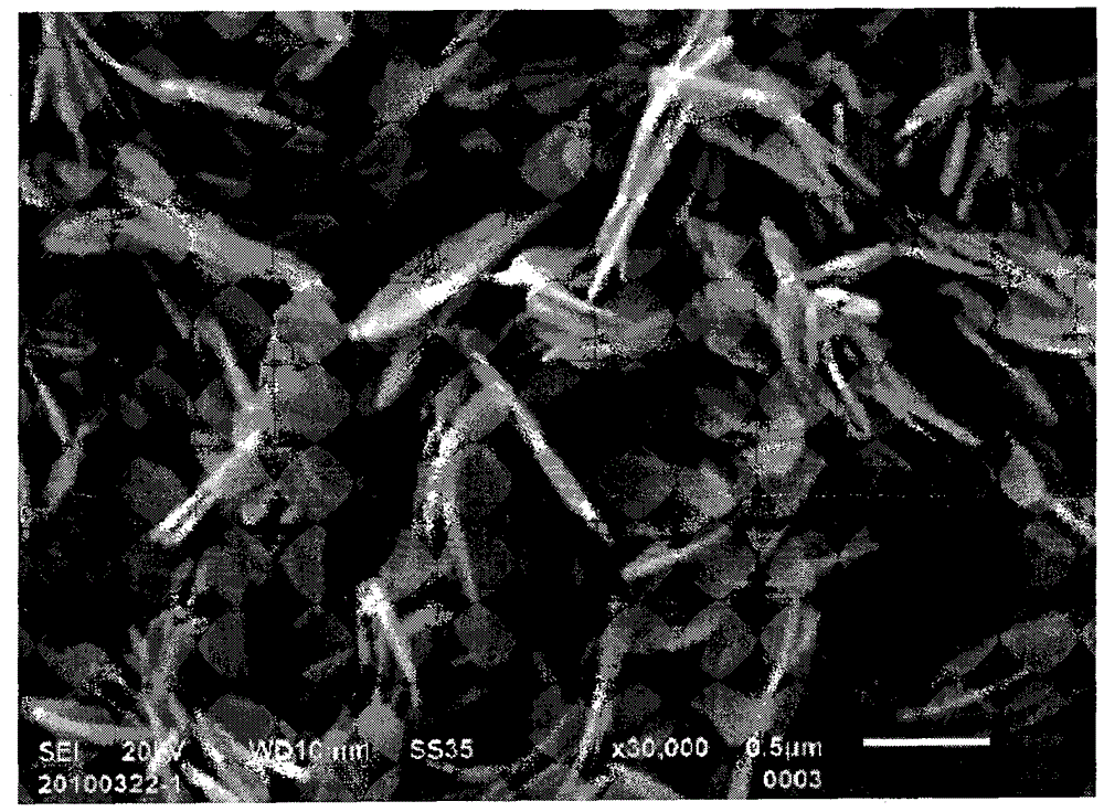 A method for preparing boehmite ultrafine powder with three-dimensional sheet aggregate morphology