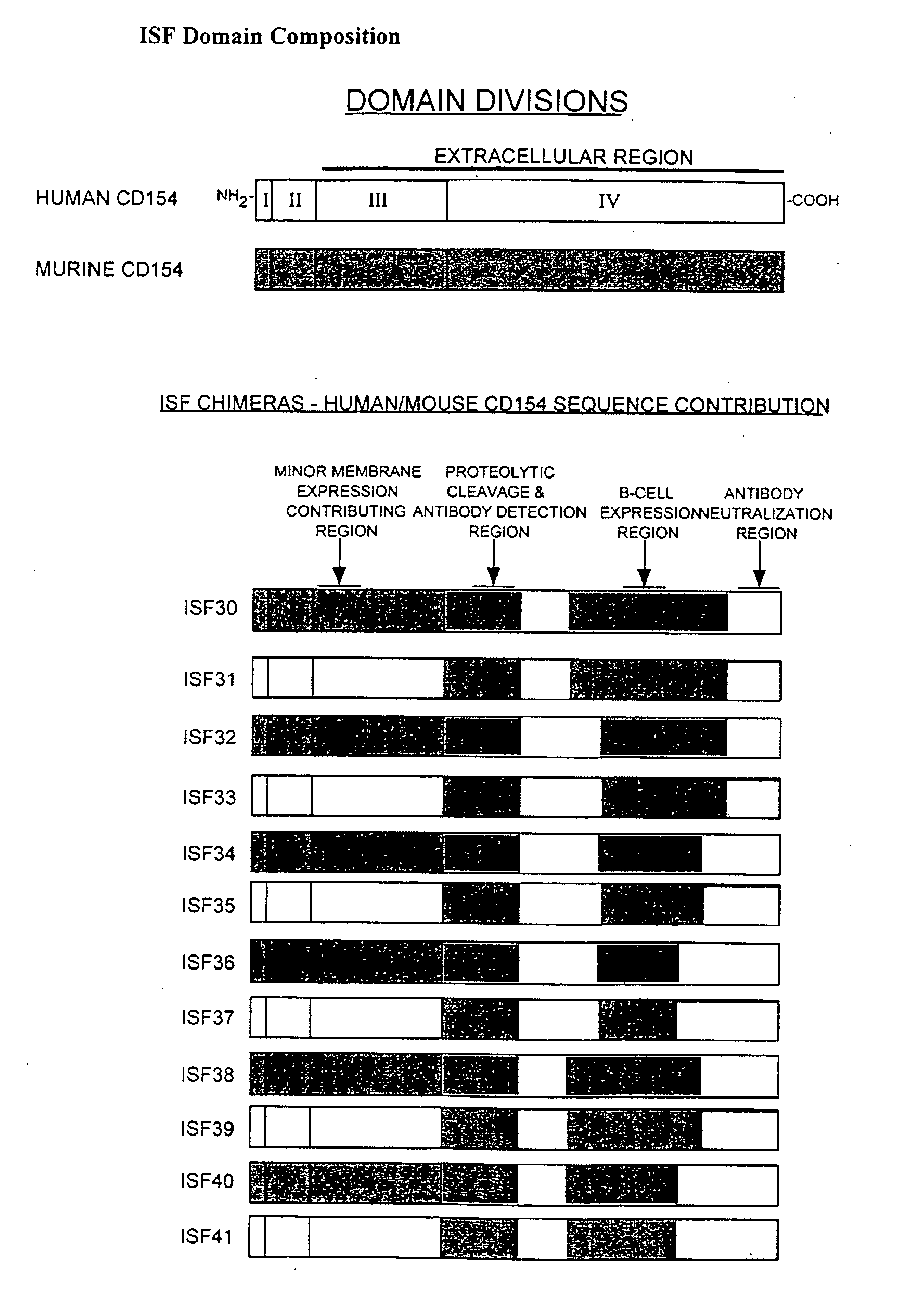 Nucleic Acids Encoding Chimeric CD154 Polypeptides