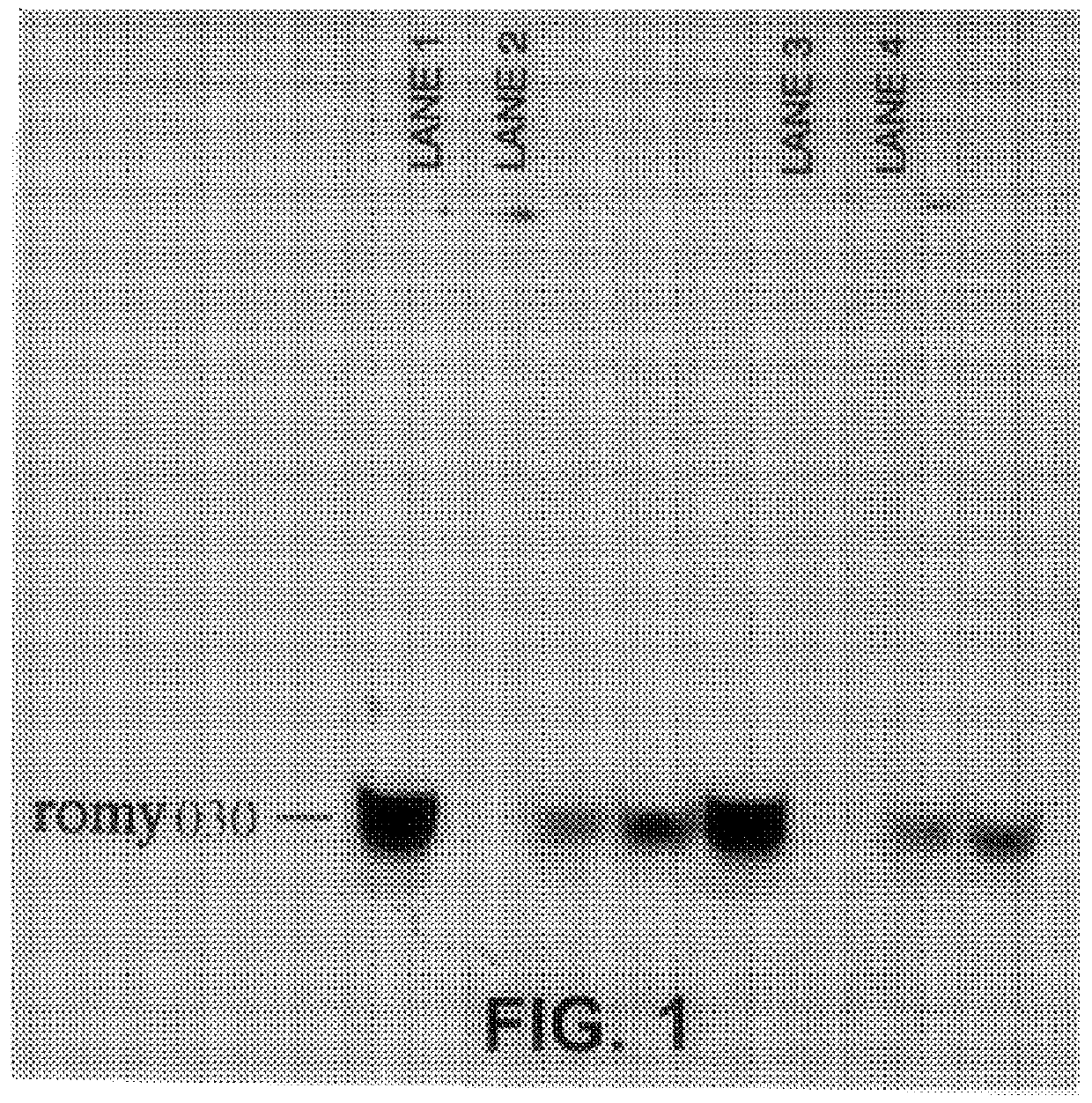 Methods for detecting fohy030