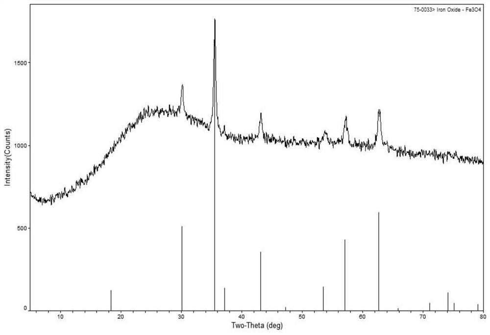 Biomass/carbon nanotube induced Fe3O4 nano composite material and application thereof as lithium ion battery negative electrode material