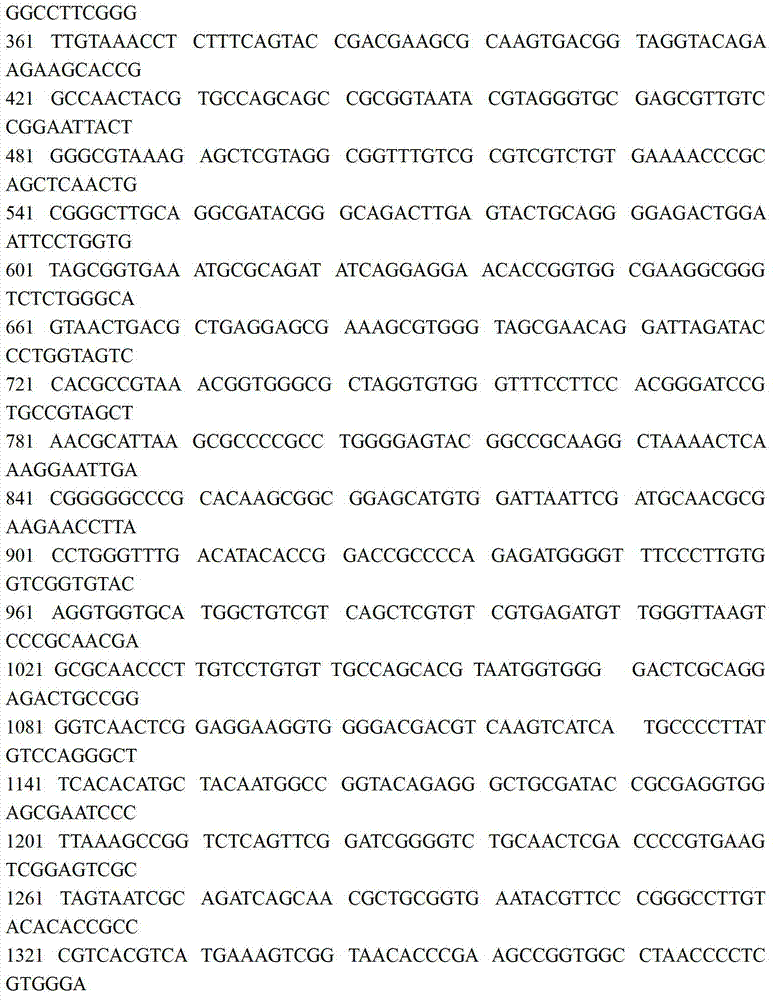 Rhodococcus JZX-01 used for degrading petroleum pollutants, and culturing method thereof