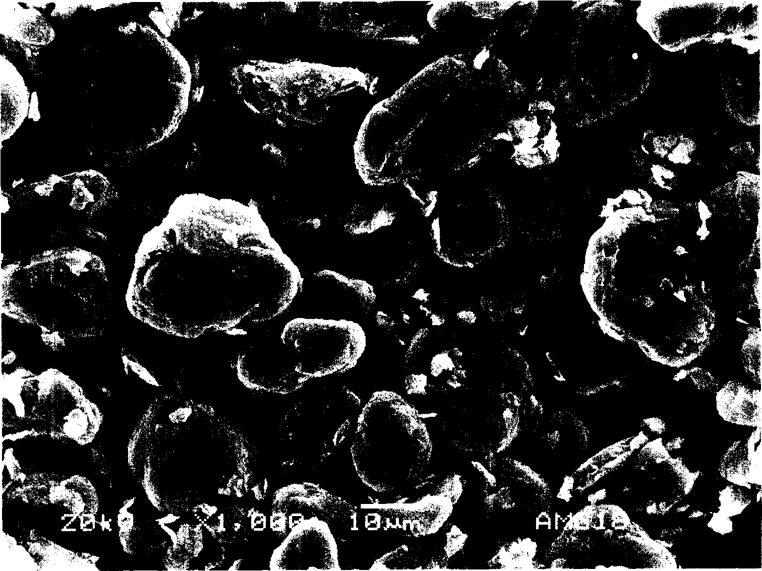 Composite graphite negative electrode material for lithium ion secondary cell and its preparation method