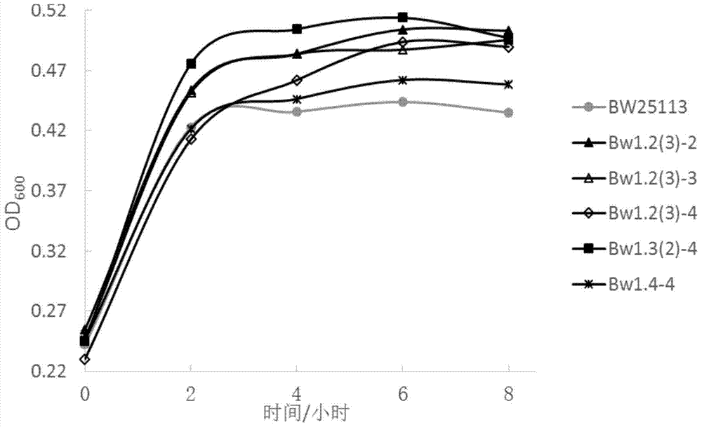 Error-prone whole-genome shuffling approach for Escherichia coli and butanol-tolerant Escherichia coli