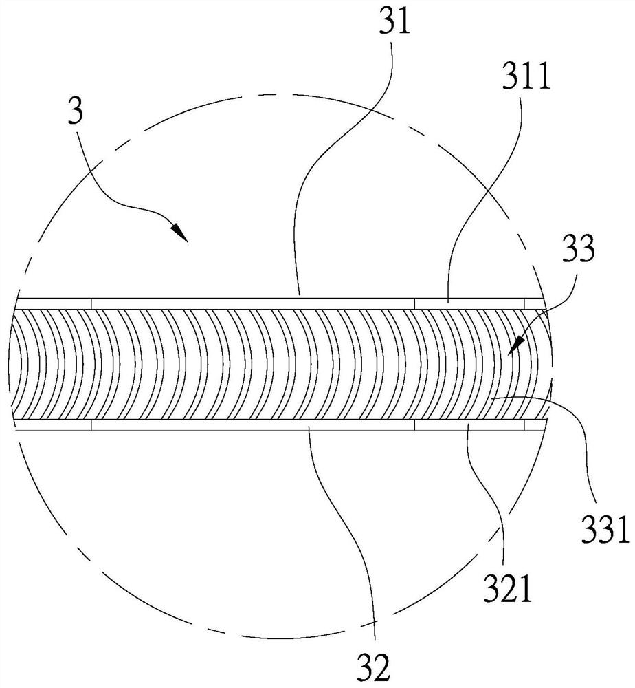 Fruit protection bag and use method thereof