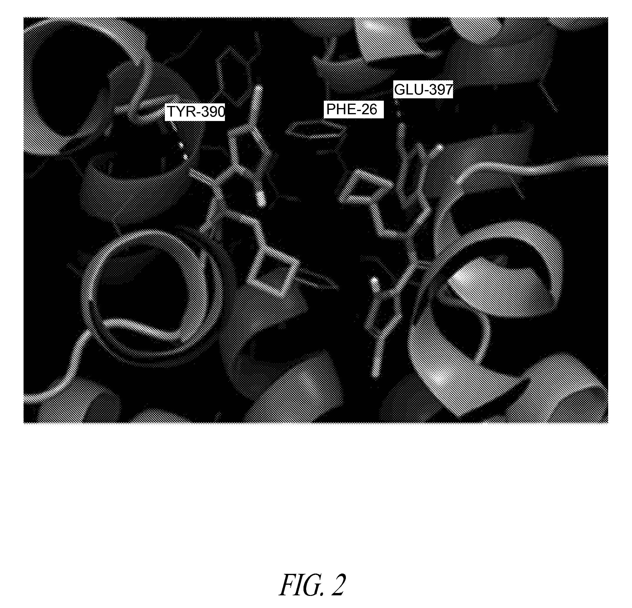 PKM2 modulators and methods for their use