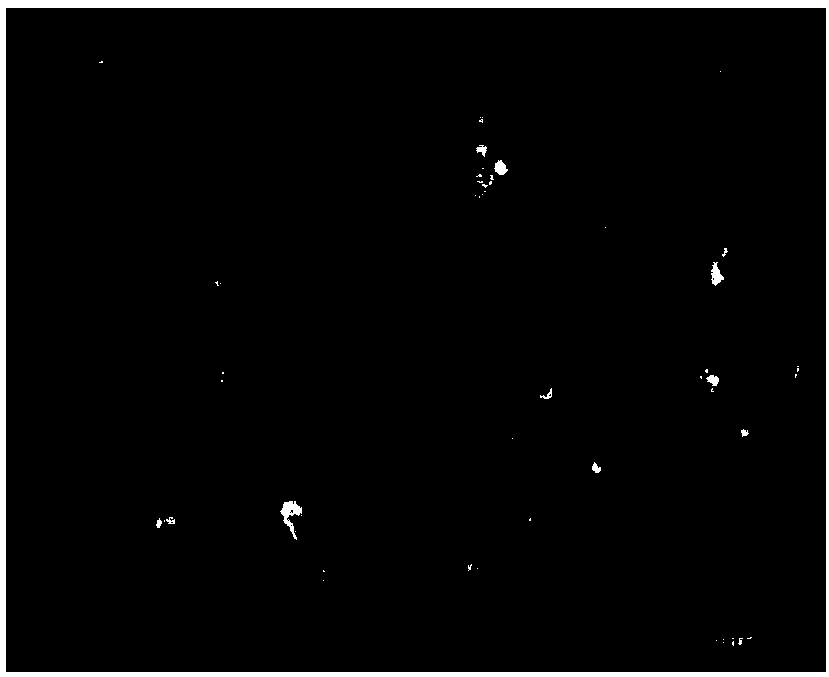 Preparation method of copper-based pantograph slide plate blank