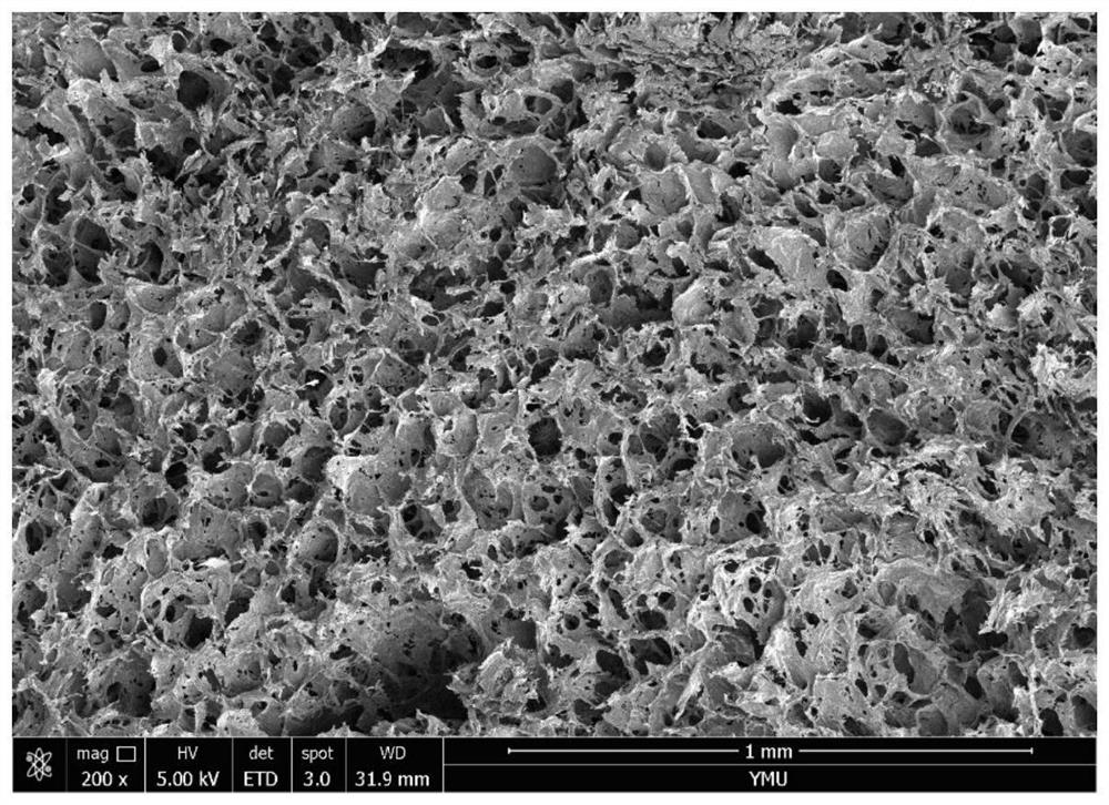 Hydrogel composite material with porous structure as well as preparation and application thereof