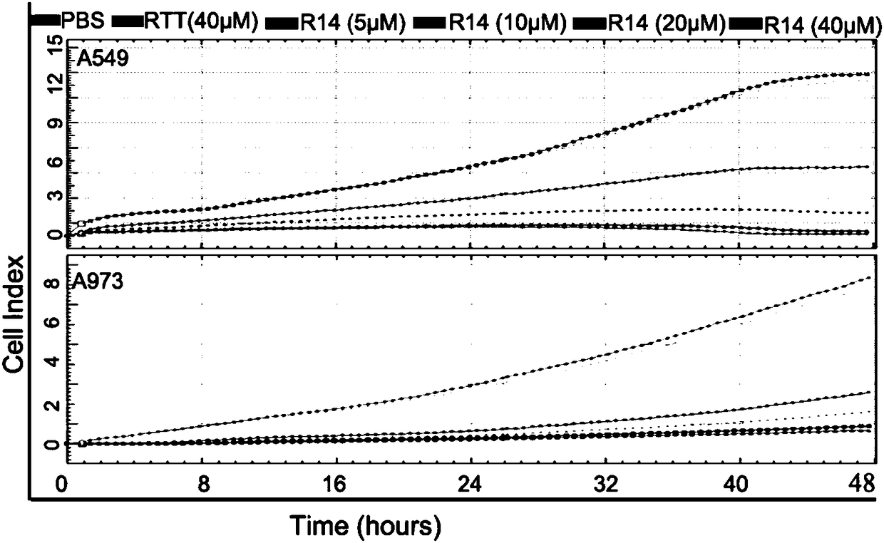 LRPPRC (leucine rich pentatricopeptide repeat containing) specific nucleic acid aptamer and application thereof