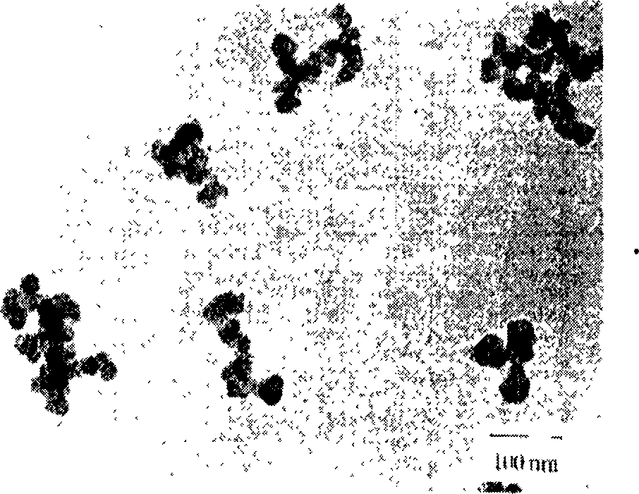 Nano carbon black with in-situ grafted organic compound and its producing method