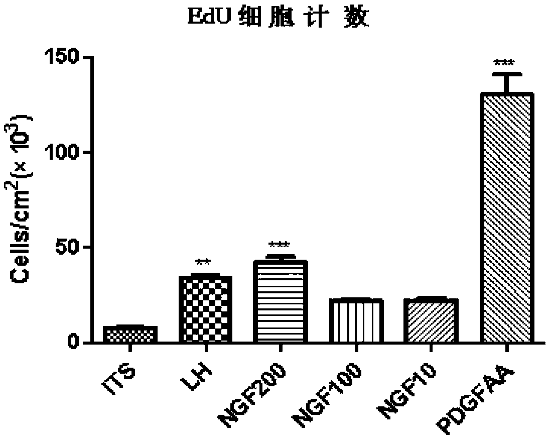 Use of nerve growth factor in preparing medicine for treating middle-aged and elderly male hypogonadism syndrome