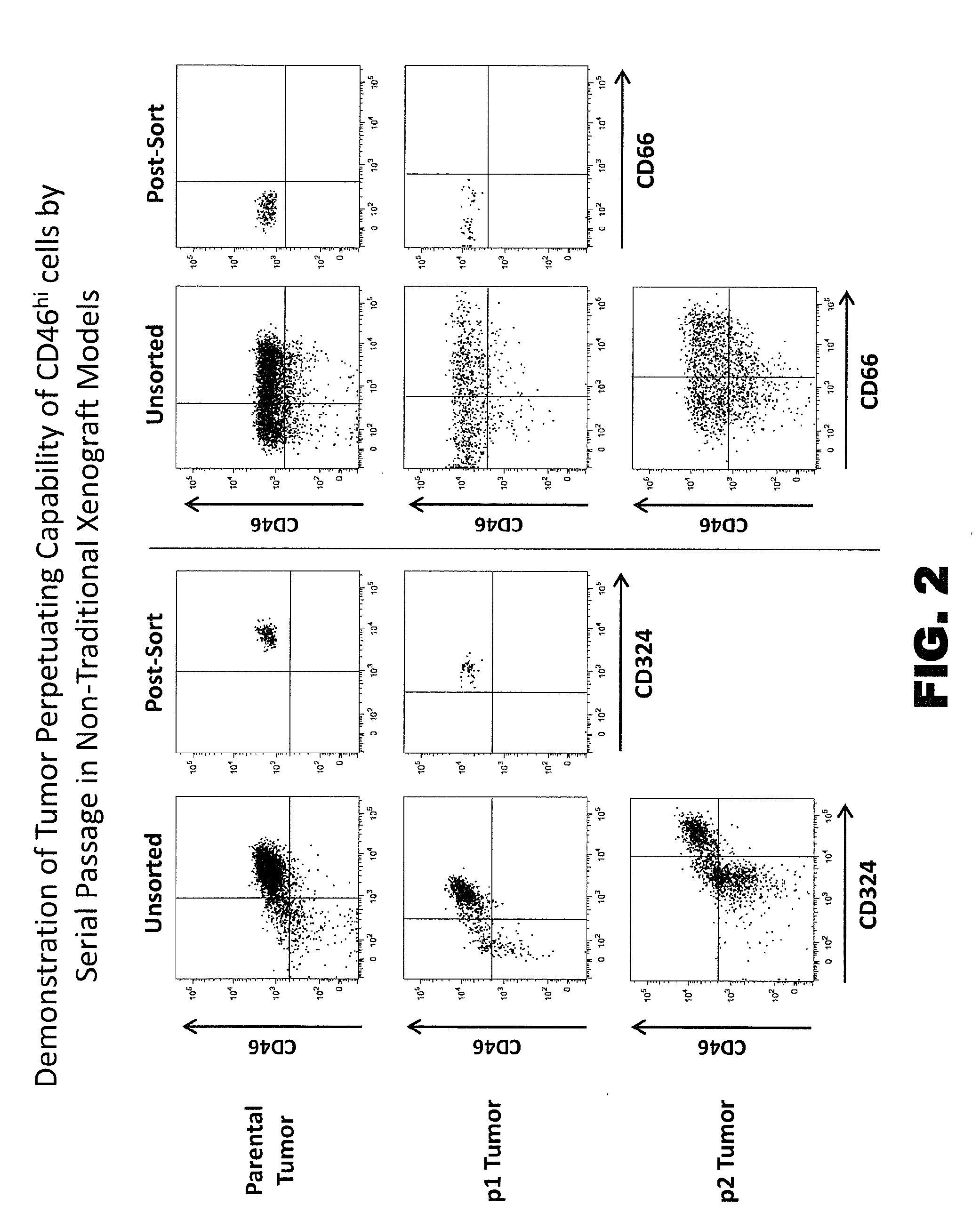 Novel modulators and methods of use