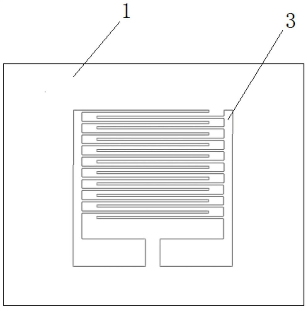 A kind of surface acoustic wave-based miniature bacterial lysis reactor and bacterial lysis method