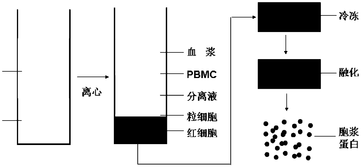 Method for detecting hemoglobin-combined alpha-synuclein