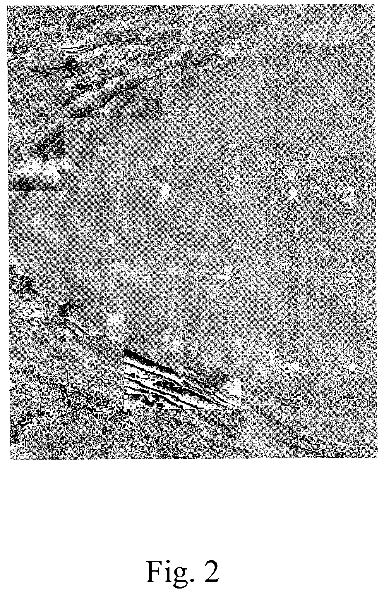 Method and system for compressing a continuous data flow in real-time using cluster successive approximation multi-stage vector quantization (SAMVQ)