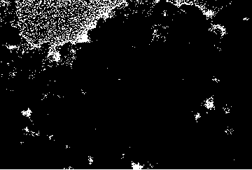 A kind of hydrocracking catalyst and its preparation method and start-up method