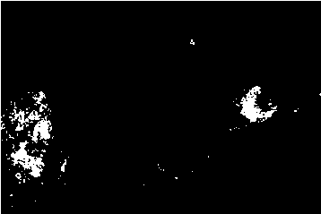 A kind of hydrocracking catalyst and its preparation method and start-up method