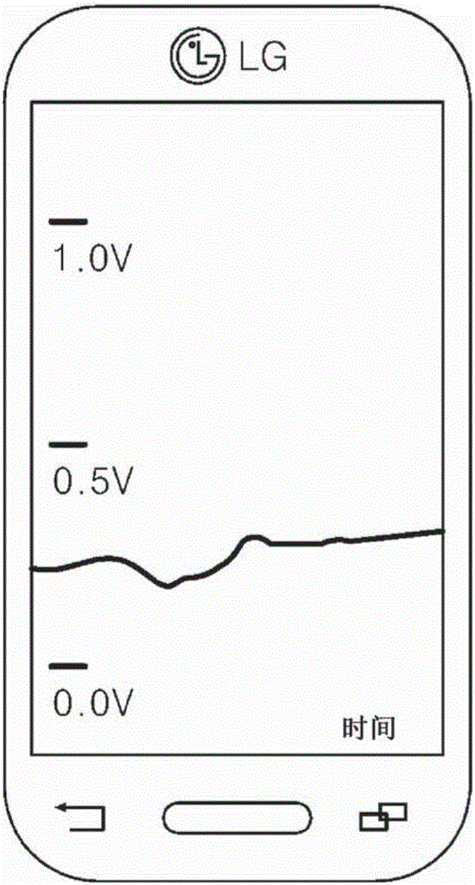 Gas detection apparatus