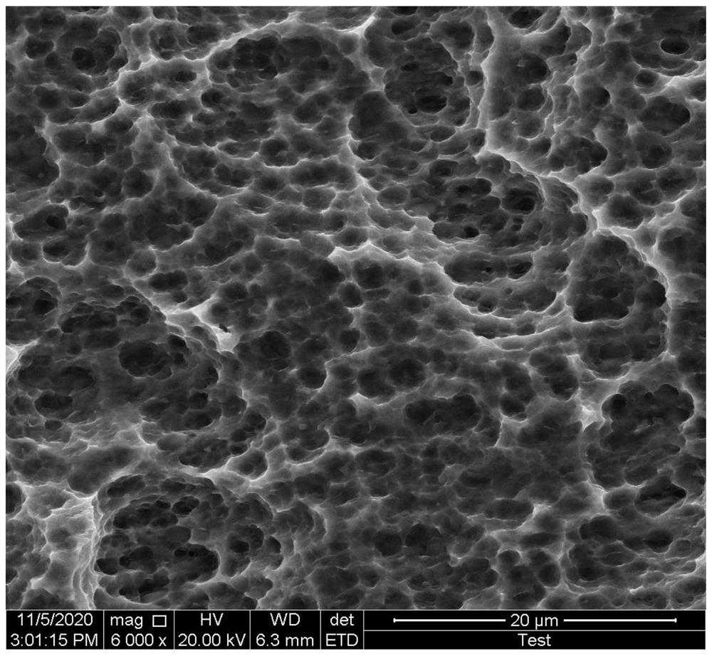 Surface treatment process of a titanium alloy dental implant