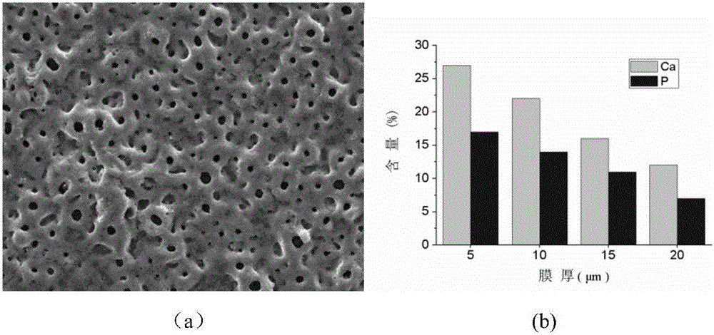 Preparation method of a homogeneous bioceramic implant material containing gradient calcium and phosphorus