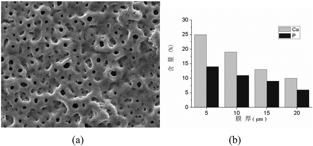 Preparation method of a homogeneous bioceramic implant material containing gradient calcium and phosphorus