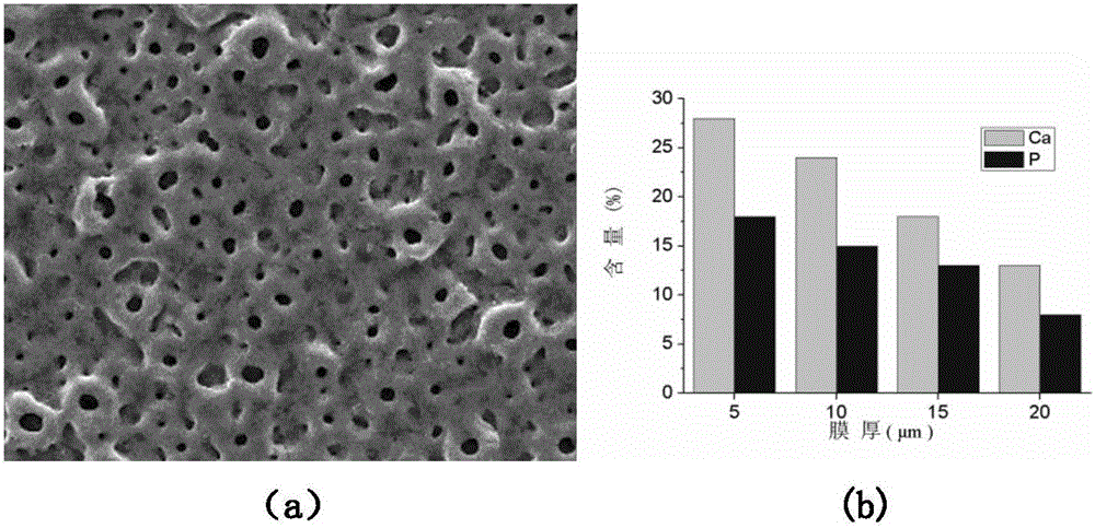 Preparation method of a homogeneous bioceramic implant material containing gradient calcium and phosphorus