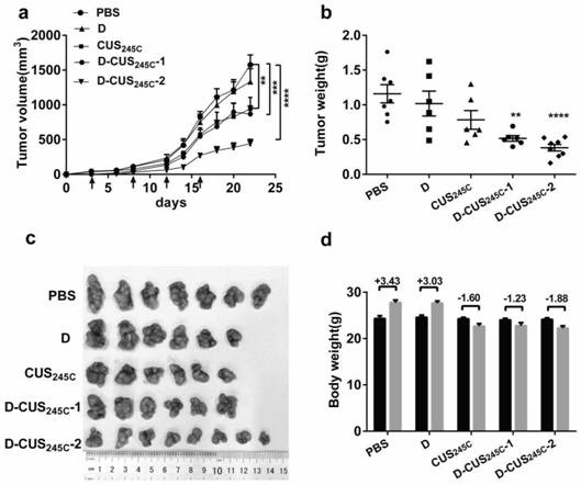 PD-L1 targeting immunotoxin as well as preparation method and application thereof