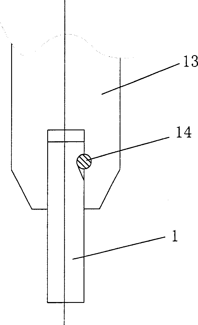 Silicon seed crystal for straight drawing monocrystal growth and its process