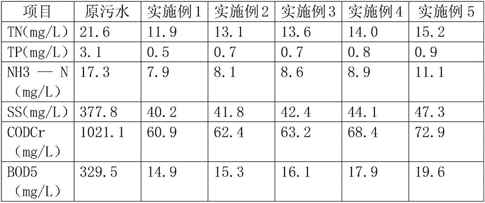 Papermaking sewage treatment agent and preparation method thereof