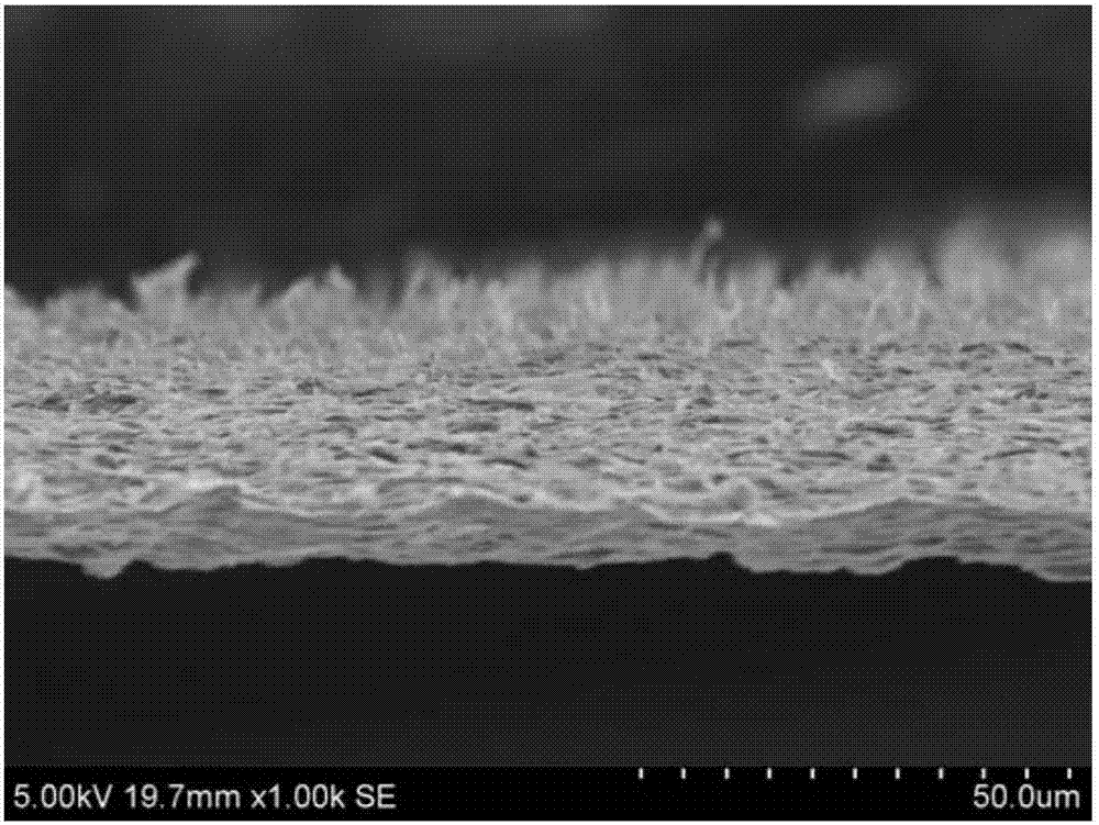 Preparation method of vertically oriented graphene-based material