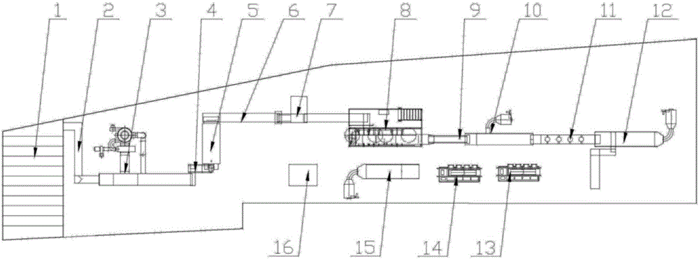 Automated production device for Enshi Yulu and use method