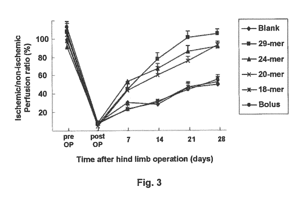 Use of PEDF-derived polypeptides for promoting muscle or tendon regeneration or arteriogenesis